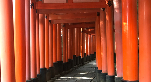 Torii nel santuario Fushimi Inari Taisha