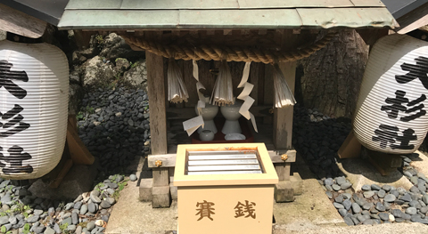 Offerte di riso e sake all'albero sacro