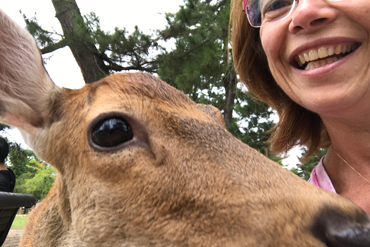 Selfie con uno dei cerbiatti di Nara